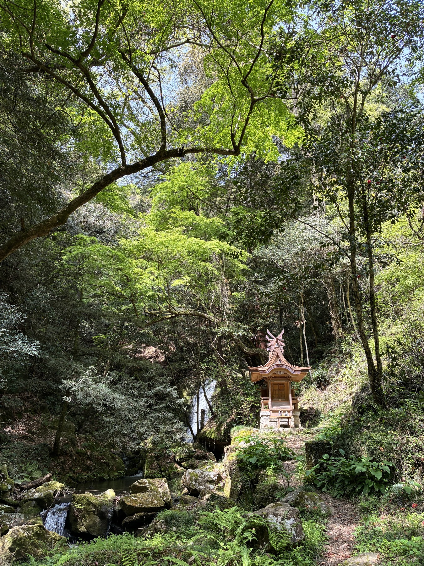 血洗の滝エリア